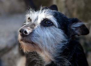 Hunter for One Photo a Day  (1 of 1)