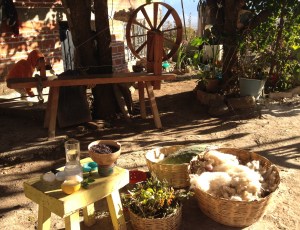 Spinning and plant dyeing demonstration at Angela's