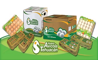 familia-avicola-tehuacan