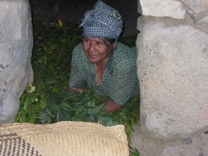 Gloria preparing our temazcal with leaves