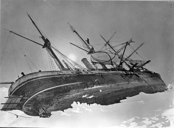 Endurance | Embracing the Chaos